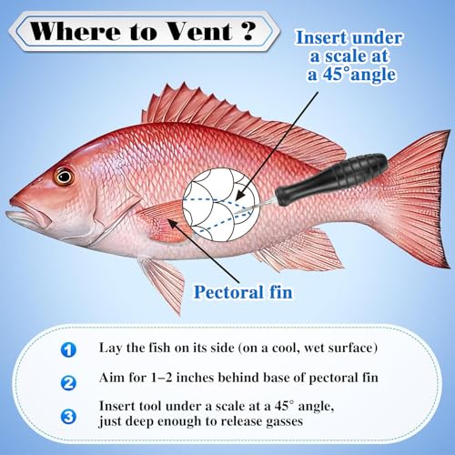 Fish Venting Tool Kit with Black Handle and Stainless Steel Needles for Deep Sea Fish Relief - Saltwater Fishing Accessories