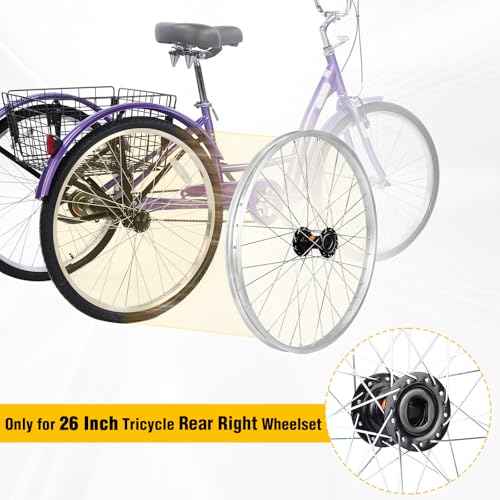 WEEROCK 26 Inch Adult Tricycle Wheelset - Right Rear Alloy Wheel for 3-Wheel Bikes