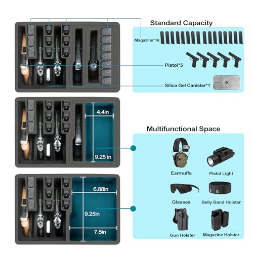 LOTOCASE Black 5-Pistol Gun Case & 16 Magazine TSA-Approved Waterproof Hard Case