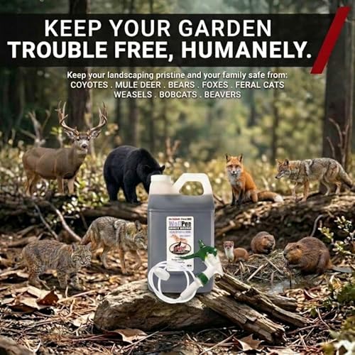 PredatorPee 100% Wolf Urine - Natural Predator Scent for Yard & Garden, 64 oz