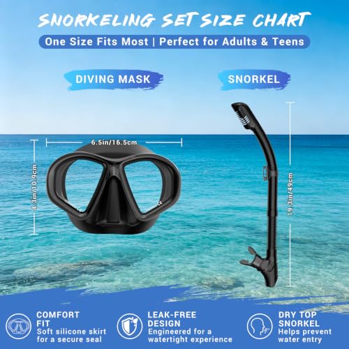 Adult Snorkeling Gear Set with Dry-Top Snorkel & Mask - Black