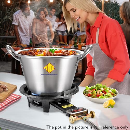 ARC 13-Inch Cast Iron Propane Burner Without Stand - 80,000 BTU Gas Stove
