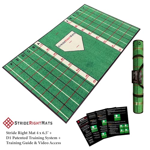 Baseball & Softball Hitting Mat with Visual Feedback Grid and Training System