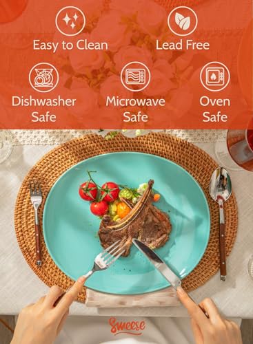 Sweese 11 Inch Porcelain Dinner Plates Set of 6 - Azure Dreamscape, Dishwasher & Oven Safe