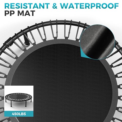 Wonlink Black 40-Inch Rebounder Trampoline for Adults, Indoor/Outdoor Exercise