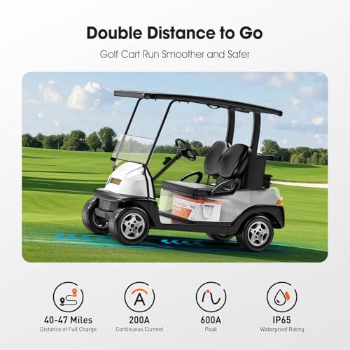 TEMGO 48V 100Ah LiFePO4 Golf Cart Battery with Voltage Converter - Model 48V100AH