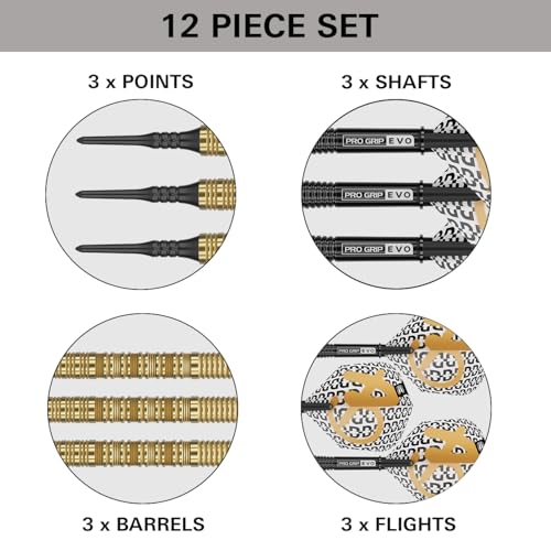 Target Darts Bolide Envy 21G Tungsten Soft Tip Dart Set with Pixel Tips & EVO Shafts