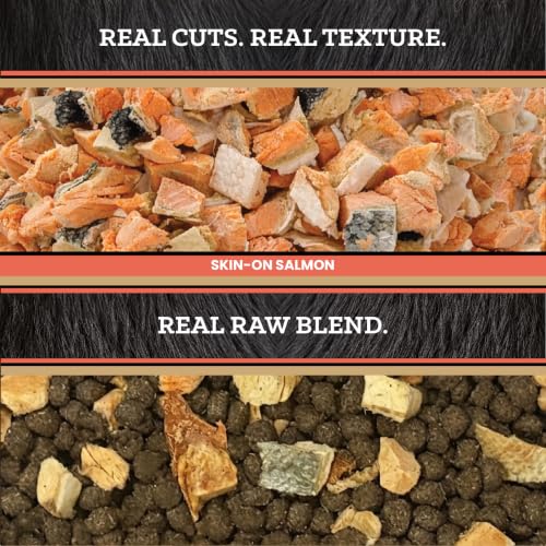 Victor Raw Salmon Dog Food Blend - Freeze-Dried & Kibble, 20 lb - Salmon / 20 Pound Pack of 1