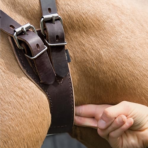 Horse Cribbing Collar - Medium Havana Leather Equine Behavior Deterrent