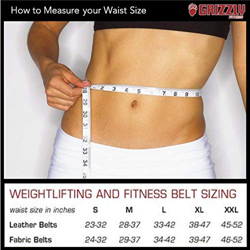 Grizzly Fitness 4-Inch Padded Enforcer Training Belt, Medium