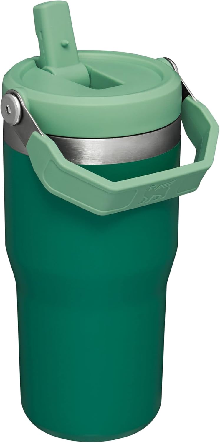 Stanley IceFlow 20 oz Flip Straw Tumbler - Insulated Stainless Steel, Leak Resistant, BPA-Free | Alpine
