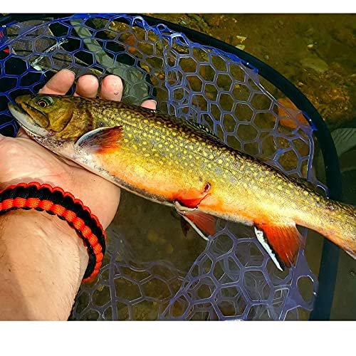 Aventik Floating Carbon Fiber Trout Landing Net - Green with Smoke Magnetic Release