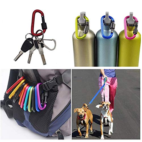 Aluminum Carabiner Keychain Locking D-Ring for Camping Hiking Travel - 10 PCS