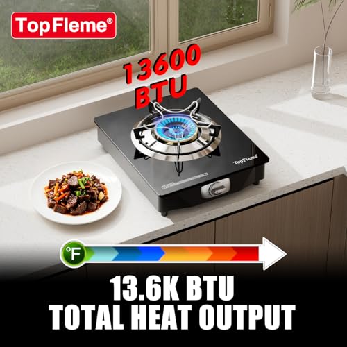 TopFleme 1 Burner Propane Stove Black 13,600 BTU Outdoor Camping Cooker with Auto-Ignition
