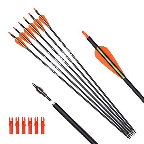 6pcs 26 Inch Carbon Arrow Set with Removable Tips for Hunting & Target Practice