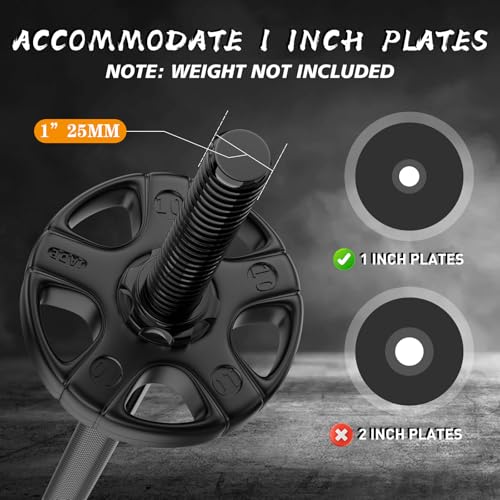 55-Inch Standard Weight Lifting Barbell - Black Steel, 1 Inch Diameter
