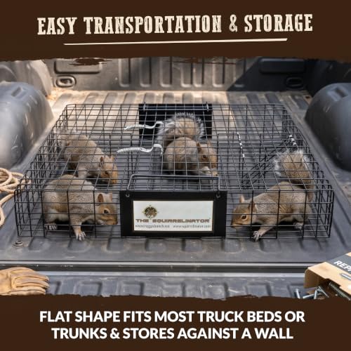 Humane Multi-Catch Squirrel Trap - 1 Pack for Wildlife Control