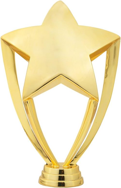 Gold Star Trophies | Custom 6.75-Inch Recognition Awards for Achievements