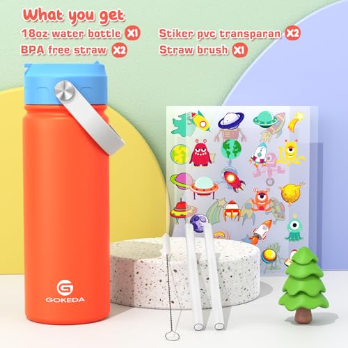 Kids 18oz Stainless Steel Water Bottle with Leak-Proof Straw Lid
