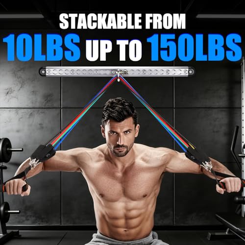 Resistance Band Wall Mount System with 5 Resistance Bands & Accessories - Space Saving Home Gym