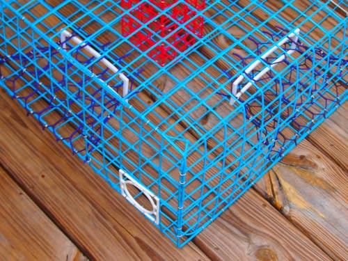 Florida Large Blue Crab Trap - 11x24x24 Saltwater Crab Pot - Heavy Duty PVC Coated Wire - Variation: FL Large Trap Only
