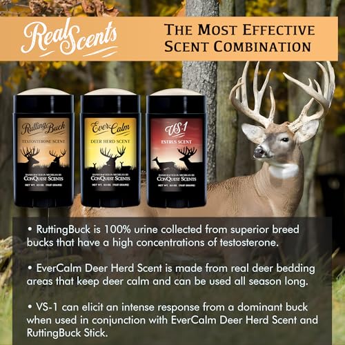 Deer Hunting Scent Pack - Estrus Urine, Buck & Bedding Attractants