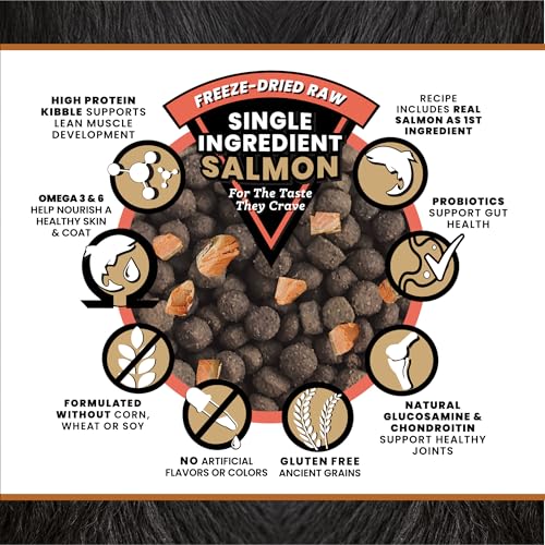 Victor Raw Salmon Dog Food Blend - Freeze-Dried & Kibble, 20 lb - Salmon / 20 Pound Pack of 1