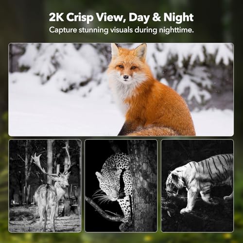 4G LTE Cellular Trail Camera with SIM Card, Solar Power, 2K Video, Remote Access - Pack of 1