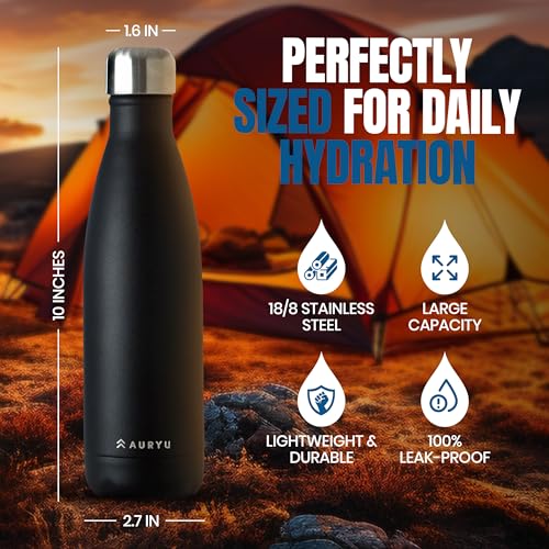 Black 17oz Insulated Water Bottle - Triple-Wall Stainless Steel Thermos, Leak Proof, Keeps Drinks Cold 24H Hot 12H, BPA-Free, Sport & Travel Flask - Black