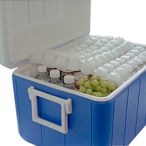 FlexiFreeze Reusable Ice Packs 12 Pack - Flexible & Cuttable Ice Sheets for Coolers