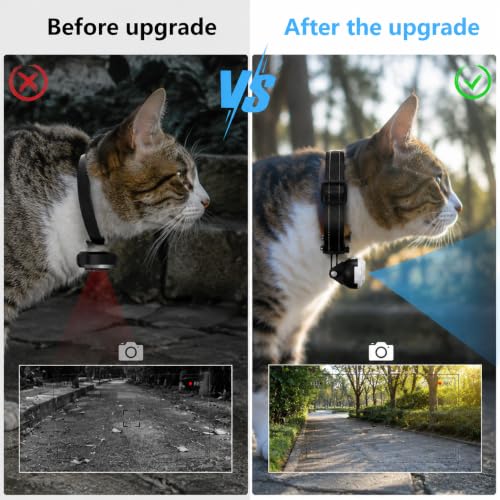 Mini HD 1080P Pet Collar Camera with Video Recording, Wide-Angle Lens, 170° Field of View