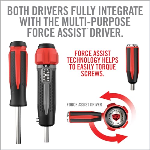 Gun Maintenance Tool Kit with Torque Wrench & Bits - Precision Screwdriver Set, LED Light, Magnetic Bit Driver - Variation of Torque Wrench, Driver, Bit Set