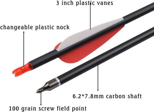 Carbon Arrow Hunting Arrows - 100 Grain Removable Tips for Compound, Recurve & Traditional Bows | Pack of 12