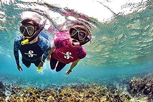 Dry Snorkel with Purge Valve and Quick-Connect Clip - Silver