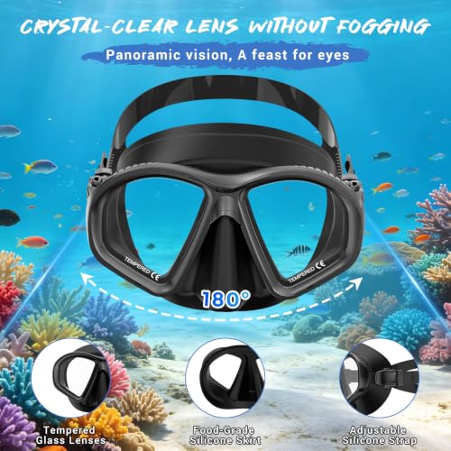 Adult Snorkeling Gear Set with Dry-Top Snorkel & Mask - Black