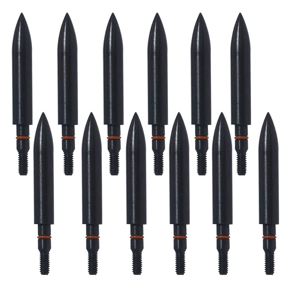 Field Points arrowheads 250 Grains Archery Field Points, 5/16" Steel Screw in Archery Field Tips and Broadheads (1 Dozen 12 PCS)
