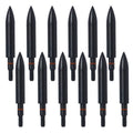 Field Points arrowheads 250 Grains Archery Field Points, 5/16" Steel Screw in Archery Field Tips and Broadheads (1 Dozen 12 PCS)