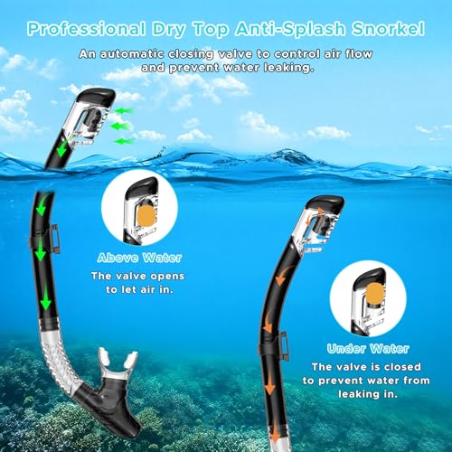 Adult Snorkel Mask Set with Dry Top Snorkel - Black + Pink