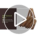 Pure Garden 25-Lb Firewood Fire Starters 2-Pack | All-Natural Pine Kindling for Indoor & Outdoor Fires