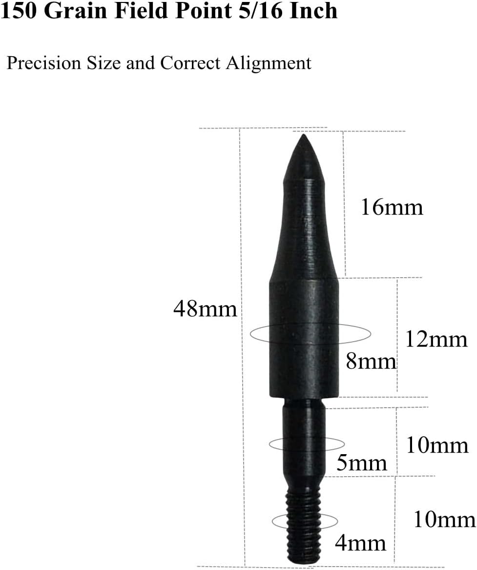 Skiennix 12pcs High Precision Crossbow Arrow Tips - Screw-In Bullet Points for 5/16 Inch Arrows | Ideal for Target Practice