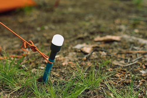 BioLite Rechargeable Solar Site Lights with Hangable Bulbs & Stakes