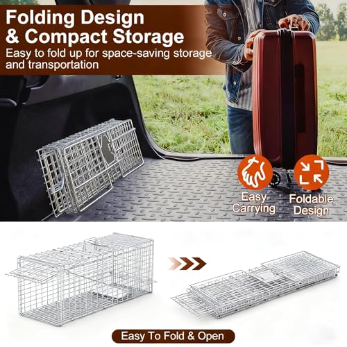 Large Humane Collapsible Animal Trap Cage 37x14x15 Inches for Raccoons Foxes
