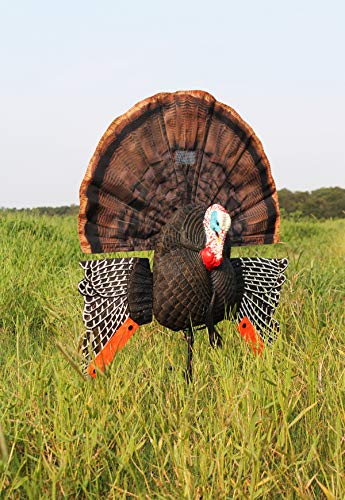 MOJO Outdoors Turkey Decoys Pack of 1 11x2x4 Inch Realistic Hunting Decoy