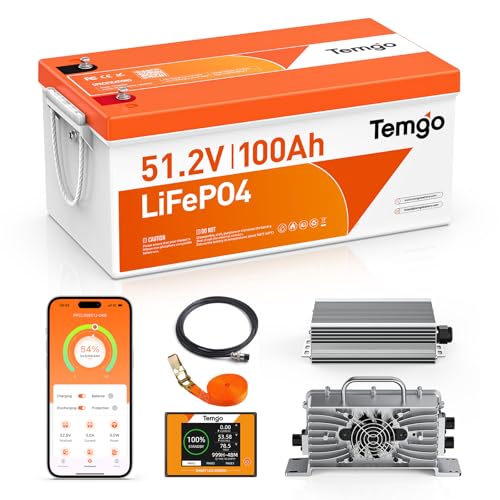 TEMGO 48V 100Ah LiFePO4 Golf Cart Battery with Voltage Converter - Model 48V100AH