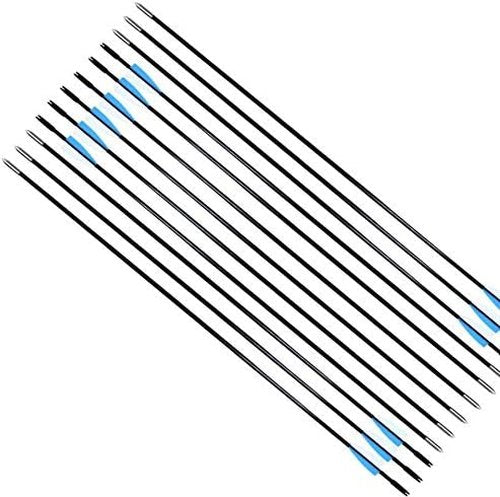 GPP Archery Beginner's First Arrows (30" Fiberglass Target Archery Arrows) - 12 Pack
