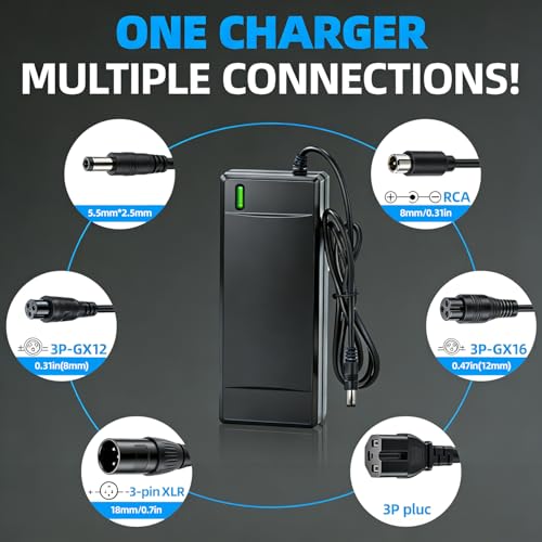 54.6V 2A Electric Bike Charger with 7 Connectors for 48V Lithium Batteries