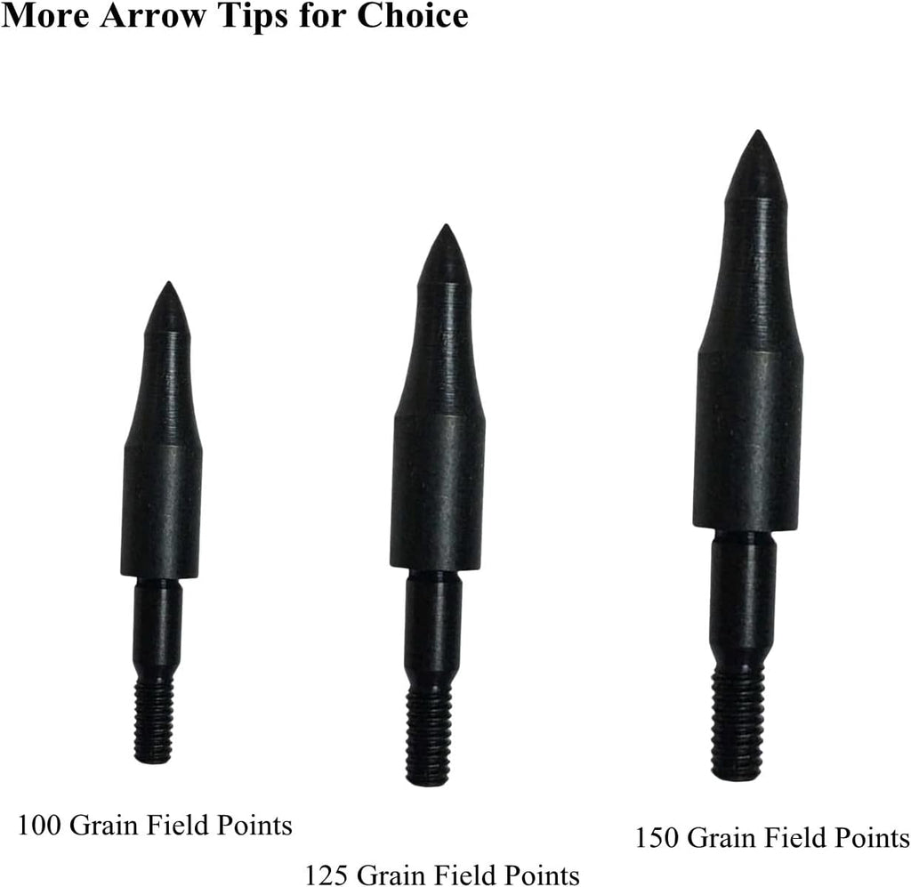 Skiennix 12pcs High Precision Crossbow Arrow Tips - Screw-In Bullet Points for 5/16 Inch Arrows | Ideal for Target Practice