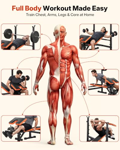 YOLEO All-in-One Weight Bench Set - Starter Edition, Adjustable Home Gym, 880-1980LBS