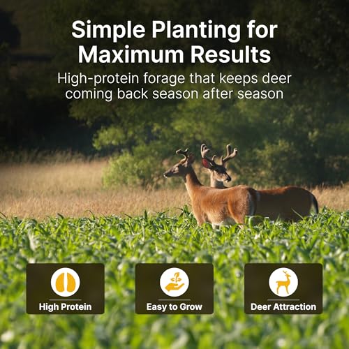 No Till Alfalfa Food Plot Seeds for Deer - 1/2 Acre (10 lbs) - Perennial, Heavy Browsing Tolerance