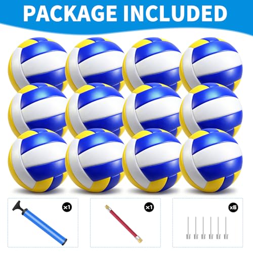 12 Pack Regulation Size 5 Volleyballs for Indoor & Outdoor Play with Pump - Soft & Durable